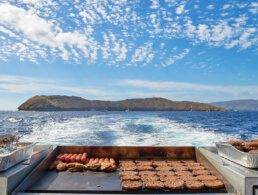 Best Maui Hawaii Molokini Tour Lunch