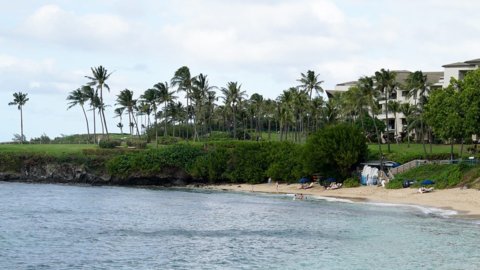 Maui Best Napili Bay