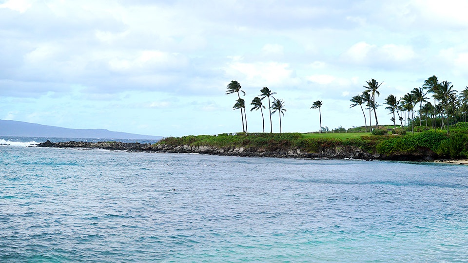 Napili Bay Maui Snorkeling