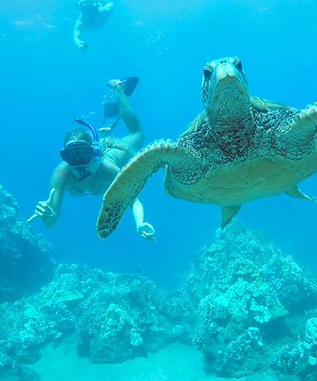 Maui Afternoon Turtle Town Snorkel Crusie