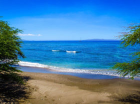 Best Adventure Cruise Olowalu Maui Coral Reef Snorkel Tour