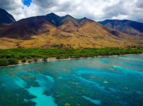 Best Holiday Olowalu Maui Coral Reef Snorkel Tour