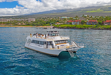 Best Maui Afternoon Snorkel Adventure