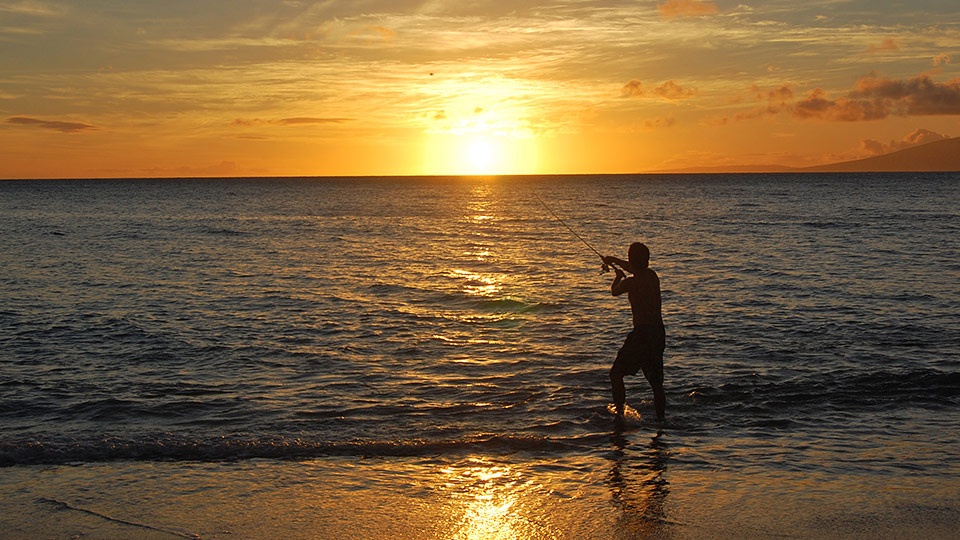 Save Hawaii Coral Reef Reduce Carbon Footprint