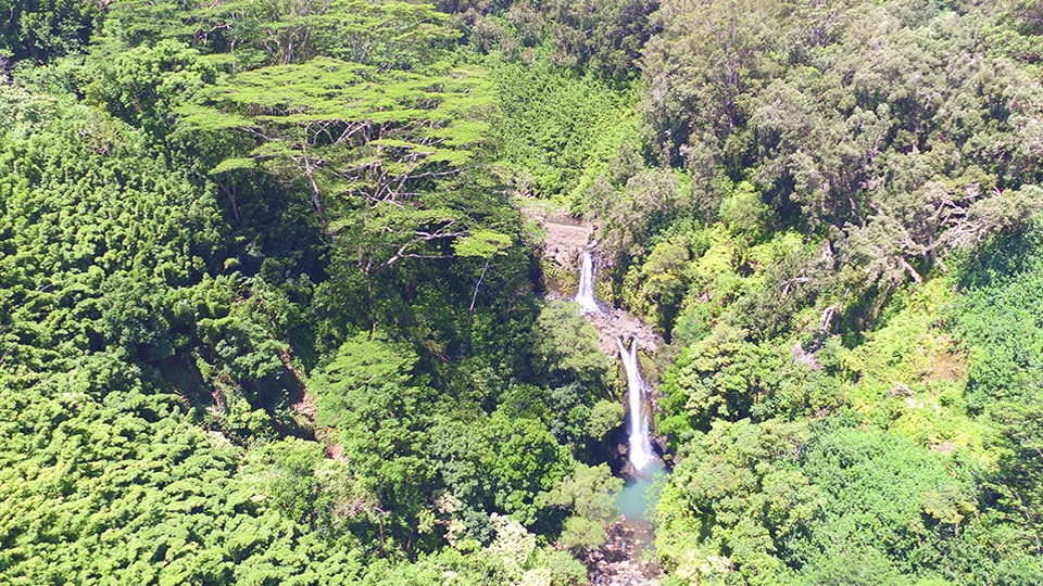 Best Maui Activities Hana Road