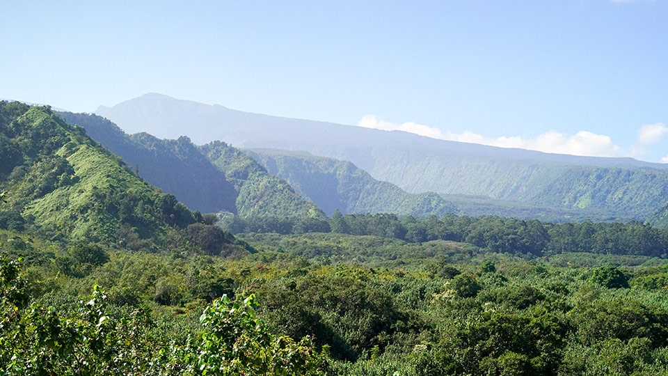 Wailua State Wayside Road Hana