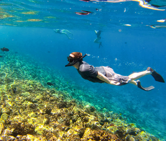 Best Maui Snorkeling Molokini