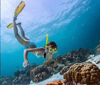 Snorkeling