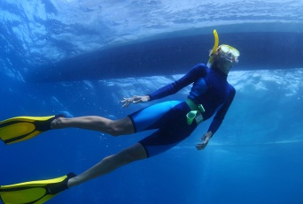 Snorkeling spots Maui