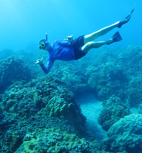 Maui Top Snorkeling Tour