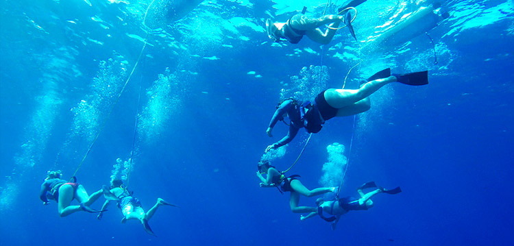 a group of SNUBA divers