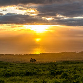 Maui Sunset