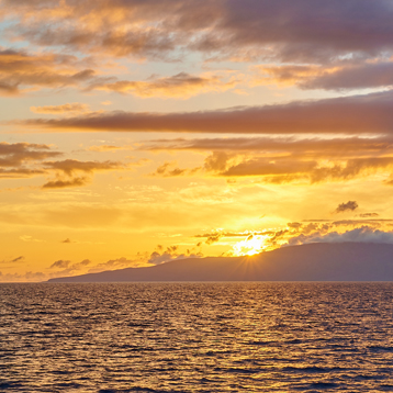 best maui sunset cruise views