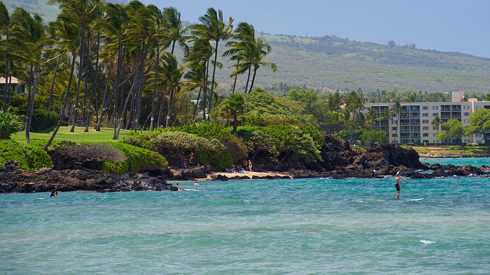 Beginner Surf Cove Kihei