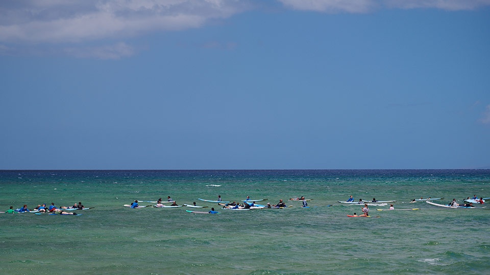 Beginner Surf Cove Kihei