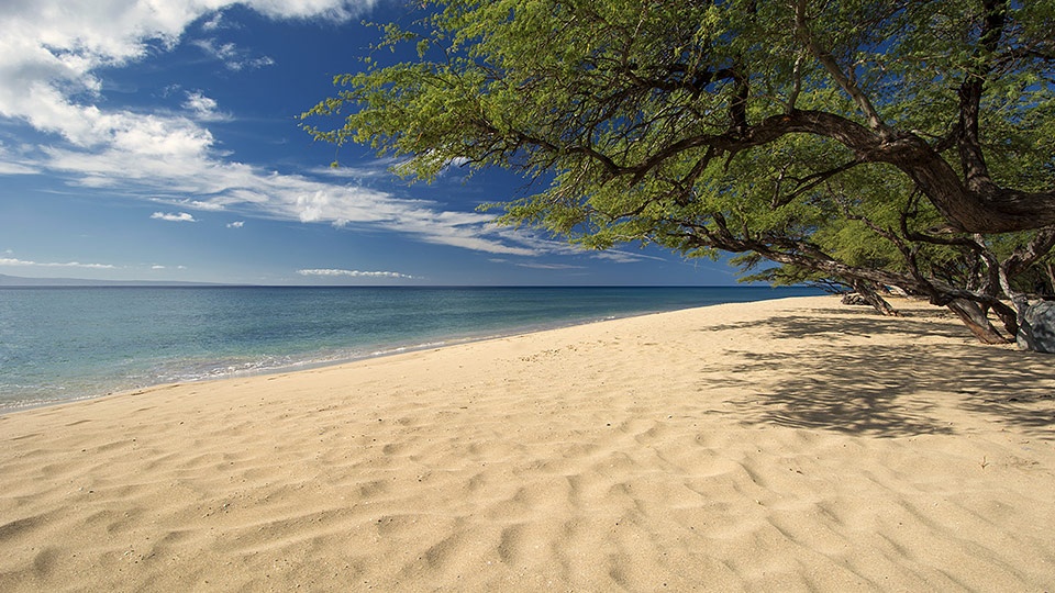 Best Maui Beginner Surf Grandma’s