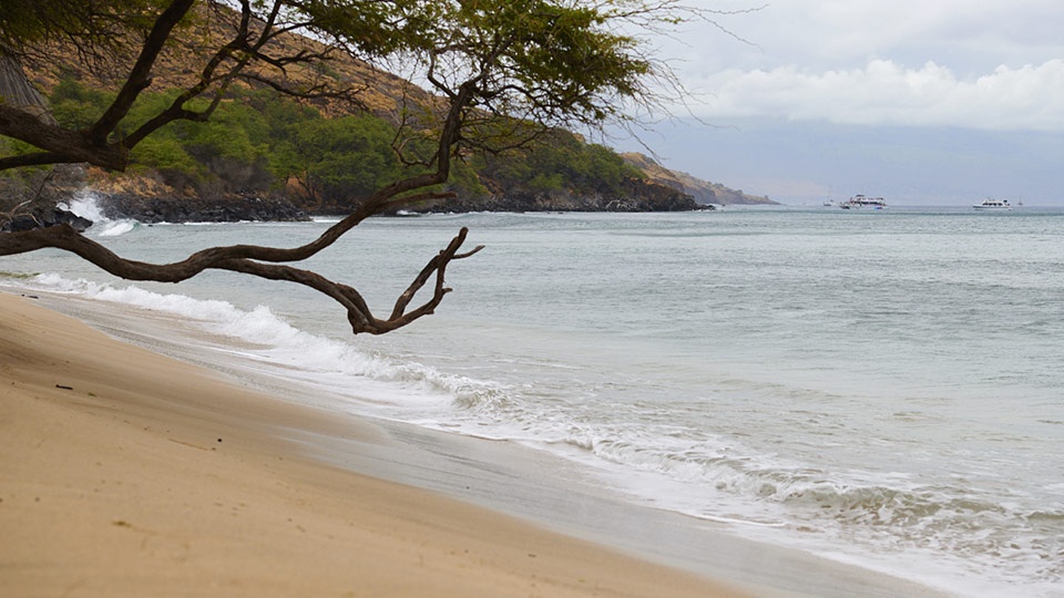 Best Maui Beginner Surf Grandma’s