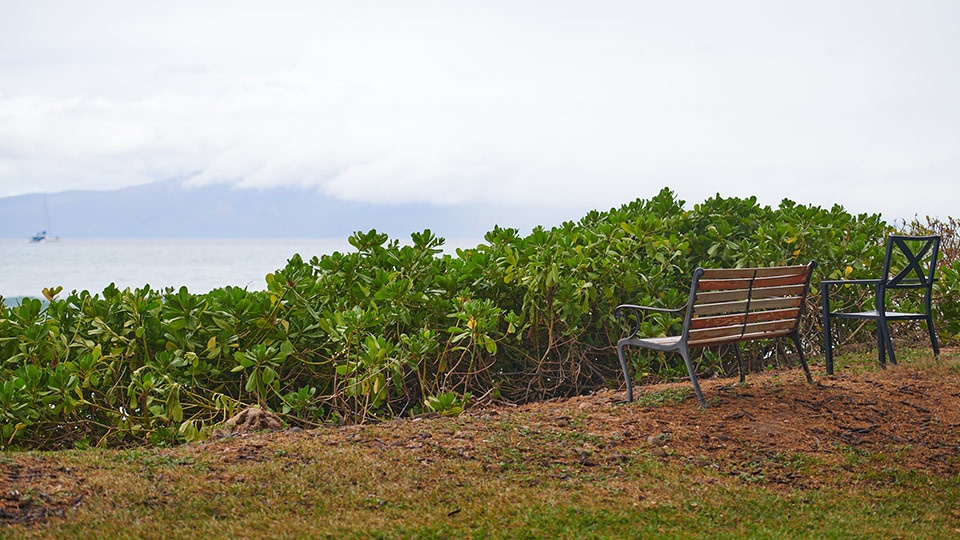 Best Maui Beginner Surf Olowalu