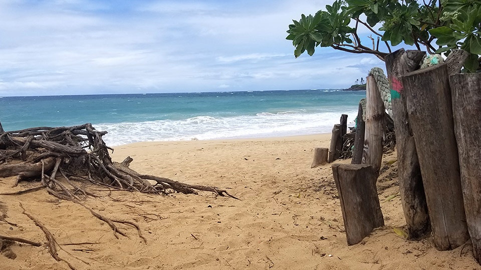 Best Maui Beginner Surf Paia Bay