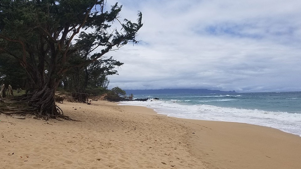 Best Maui Beginner Surf Paia Bay