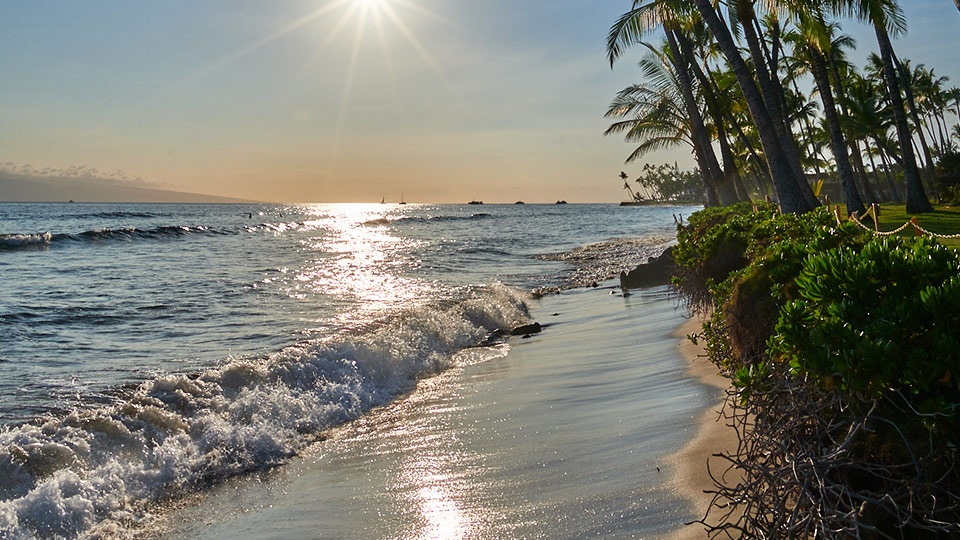 Best Maui Beginner Surf Beach