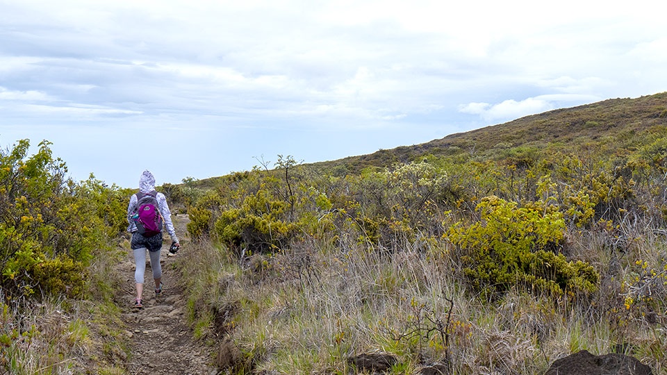 Top Hike Halemauu Trail Haleakala