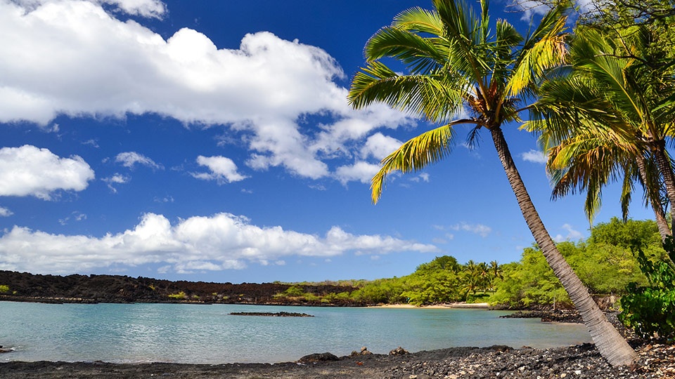 Best Maui Hikes La Perouse Bay