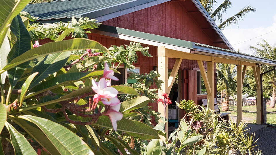 Best Maui Northshore Haiku Farm Stand