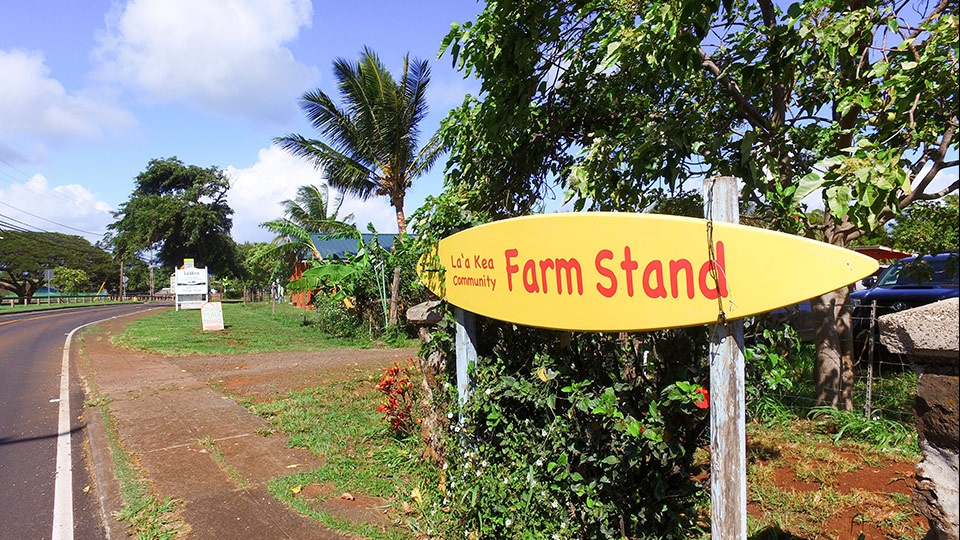 Best Maui Northshore Haiku Farm Stand