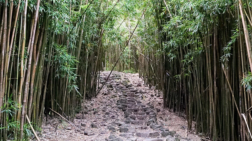 Pipiwai Trail Oheo Gulch Maui