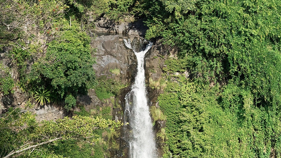 Pipiwai Trail Oheo Gulch Maui