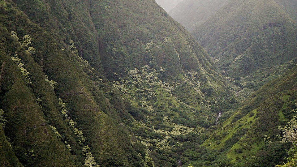 Best Maui Hikes Waihee Ridge Trail