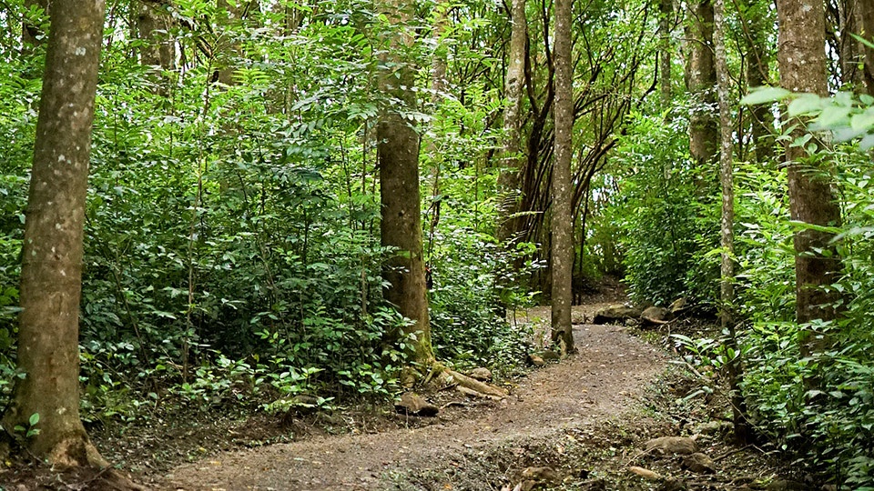 Best Maui Hikes Waihee Ridge Trail