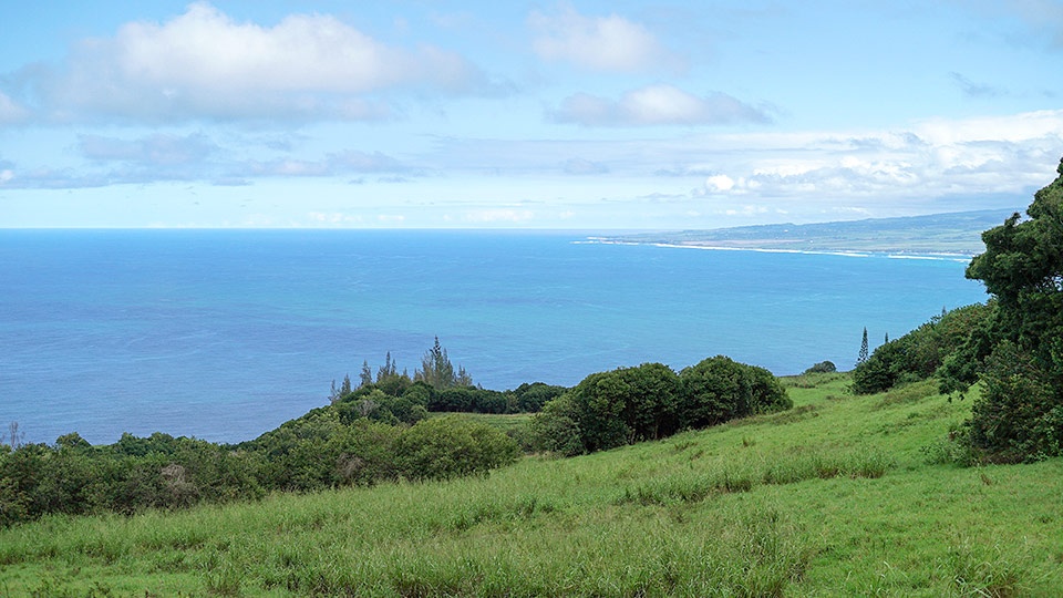 Best Maui Hikes Waihee Ridge Trail