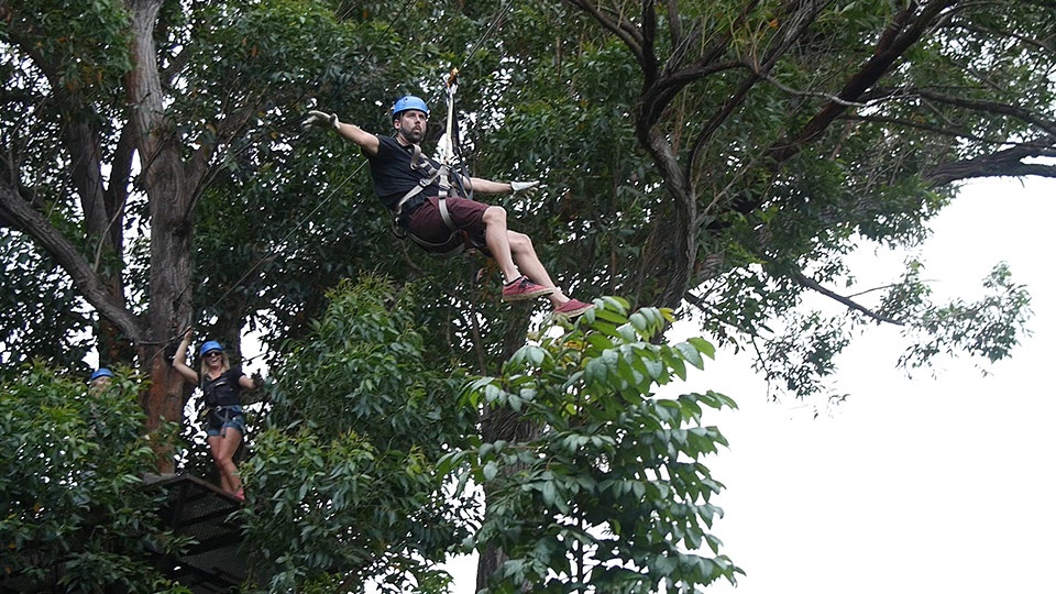 Best Maui Land Activities Zipline