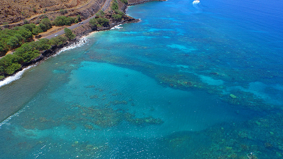 Coral Gardens Snorkeling Spot