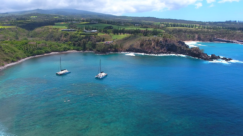 Honolua Bay Snorkeling Trip