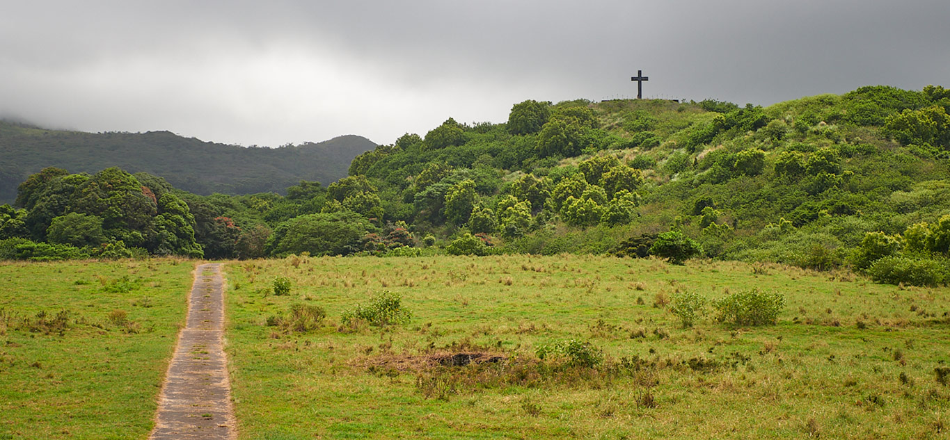 Hana Fagans Cross