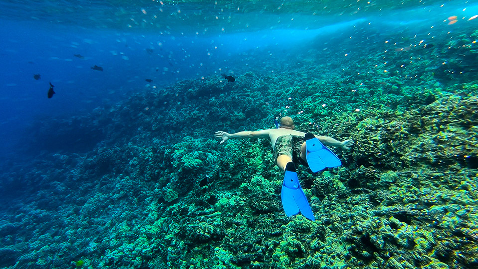 Snorkeling at Molokini Crater