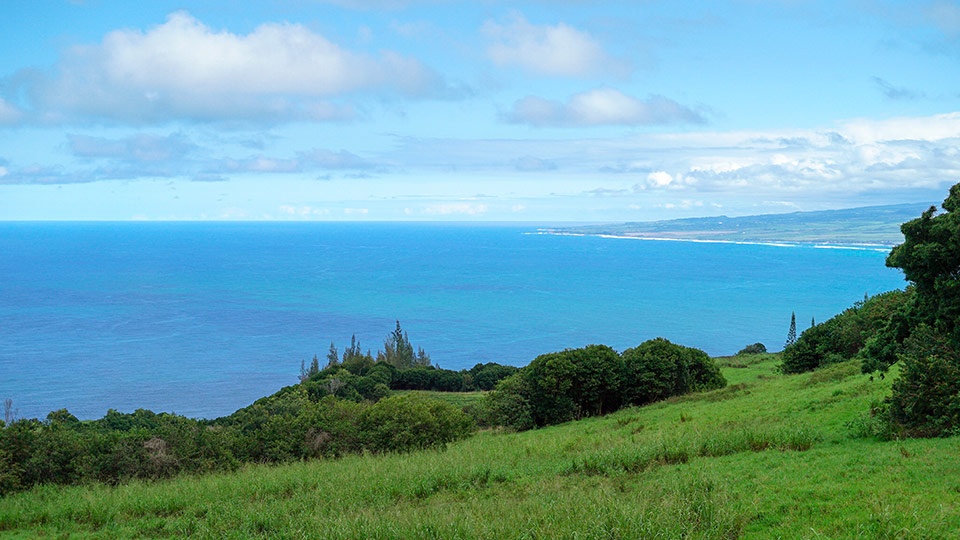 Hiking Kids Activities Maui