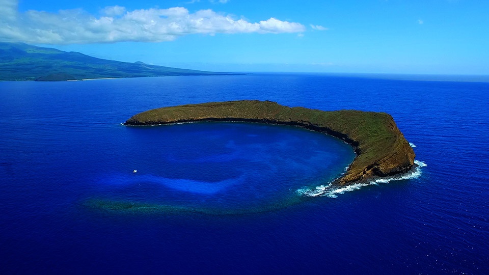 Best Kids Activities Molokini Snorkeling