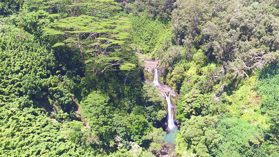 Best Maui Honeymoon Activity Road Hana