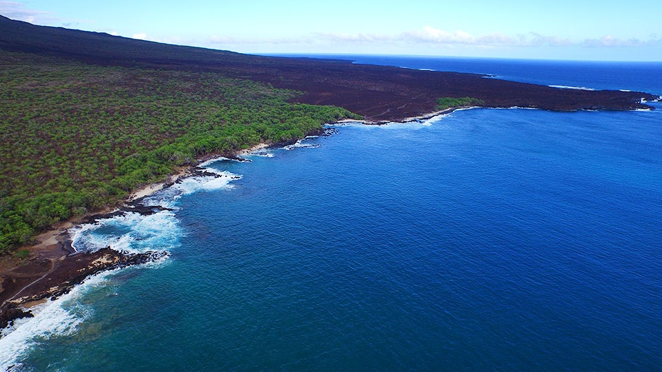 Best Wailea Dolphins at La Perouse