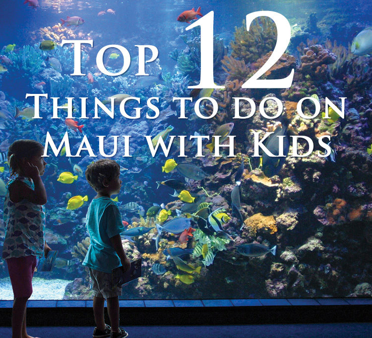 Top 12 Things To Do in Maui with Kids