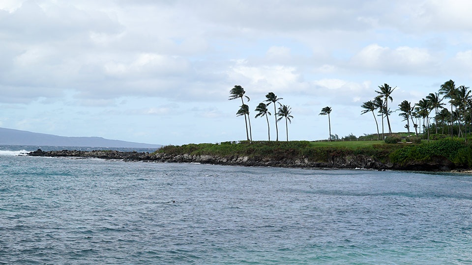 Best Maui Beach Kapalua