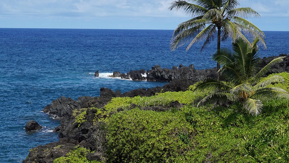 Best Maui Beach Waianapapa