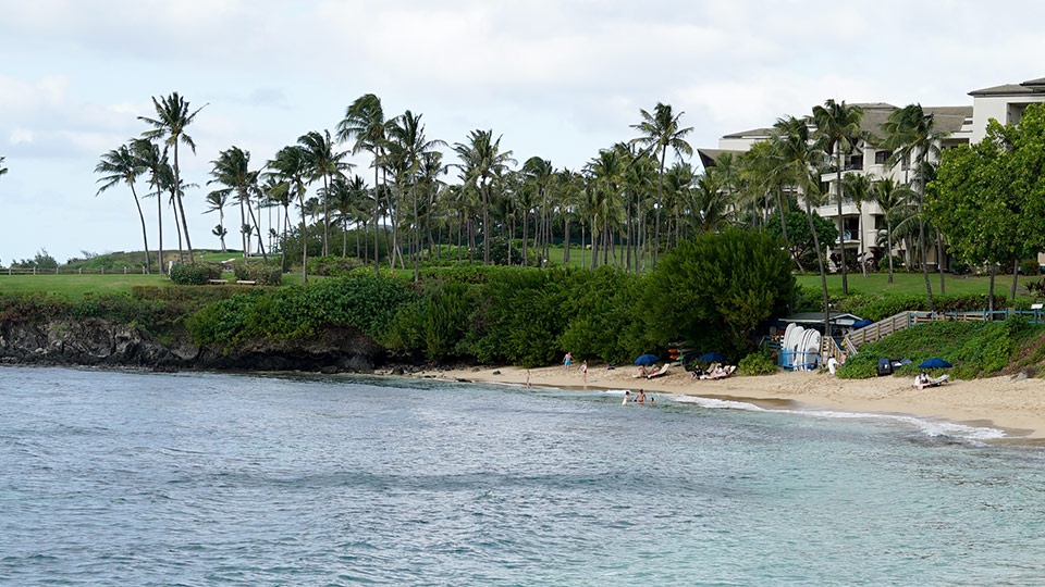 Best Maui Beach Kapalua