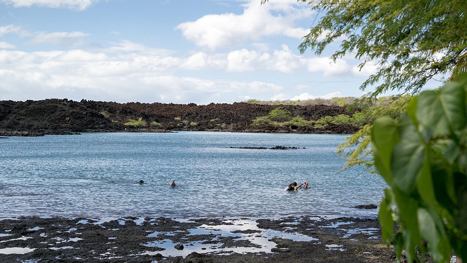 Best Maui Beach La Perouse Bay