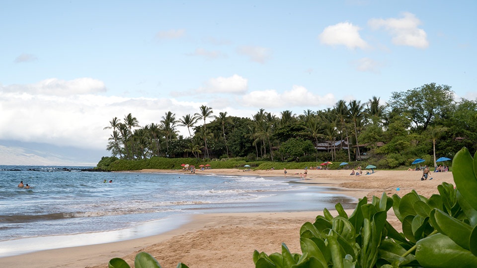 Best Maui Beach Palauea