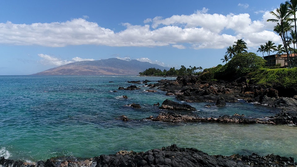 Best Maui Beach Charlie Young